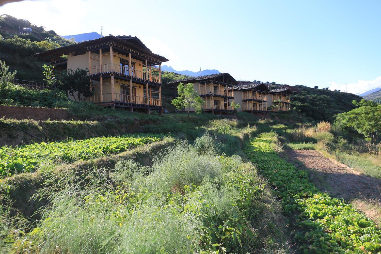 Wangdue Ecolodge Wangdue Phodrang 外观 照片