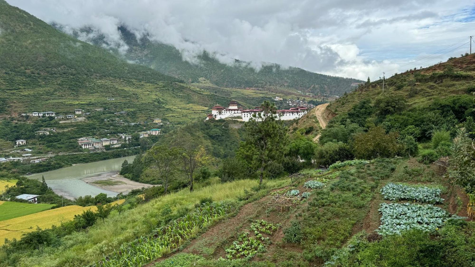 Wangdue Ecolodge Wangdue Phodrang 外观 照片
