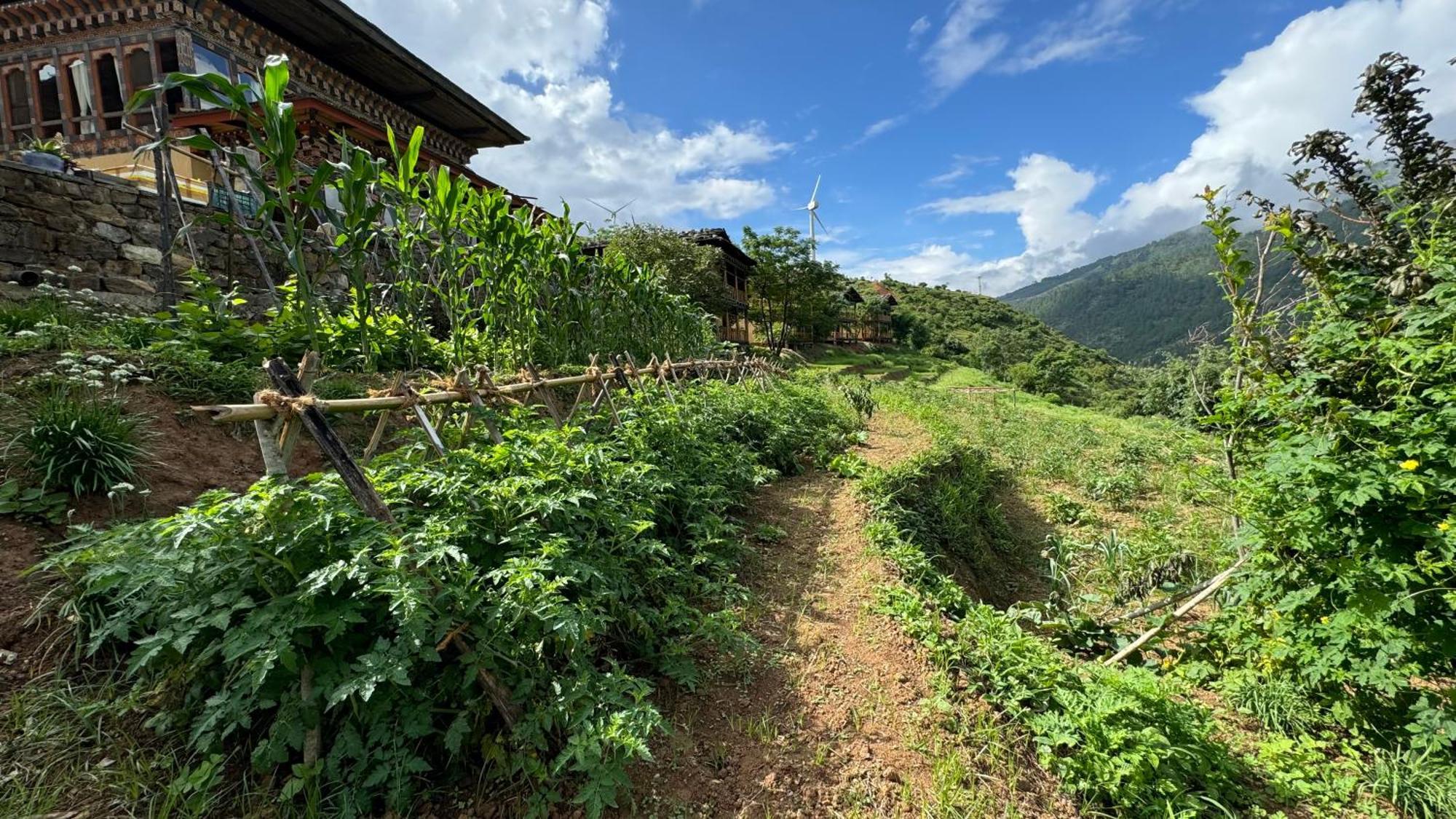 Wangdue Ecolodge Wangdue Phodrang 外观 照片